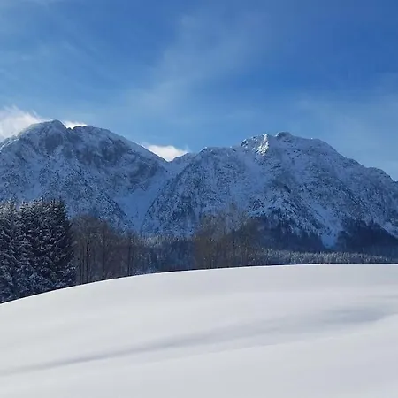 'dasbergblick' *