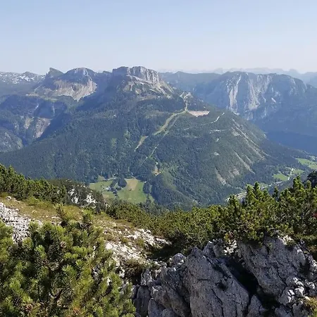 'dasbergblick'